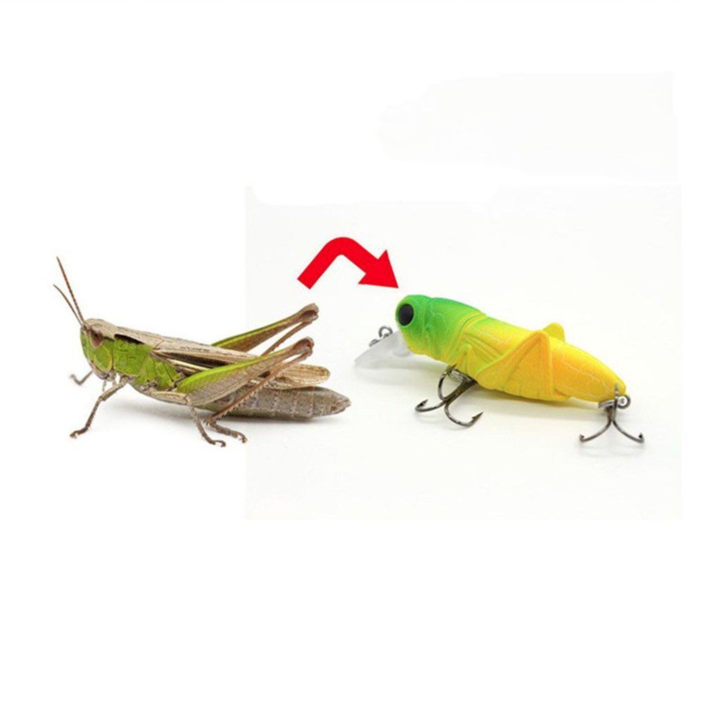EG _ HK Künstliche Kunstköder Heuschrecke grasshopper Insekten Wobbler Köder