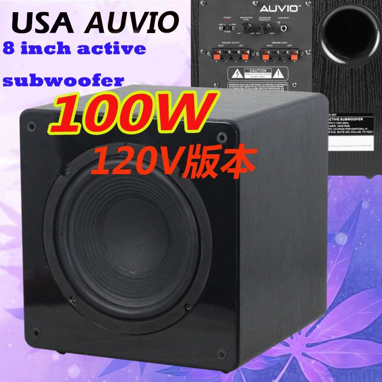 100w bass speaker