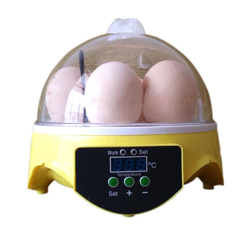 Hatcher For 7 Eggs Incubator Hatching Temperature Control From Dencrest