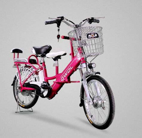 parent and child bike