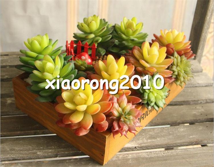2021 Plastic Succulent Plants 11cm 4 33 Length Artificial Flowers Real Touch Conjoined Stone Lotus For Home Xmas Showcase Decor From Xiaorong2010 45 33 Dhgate Com