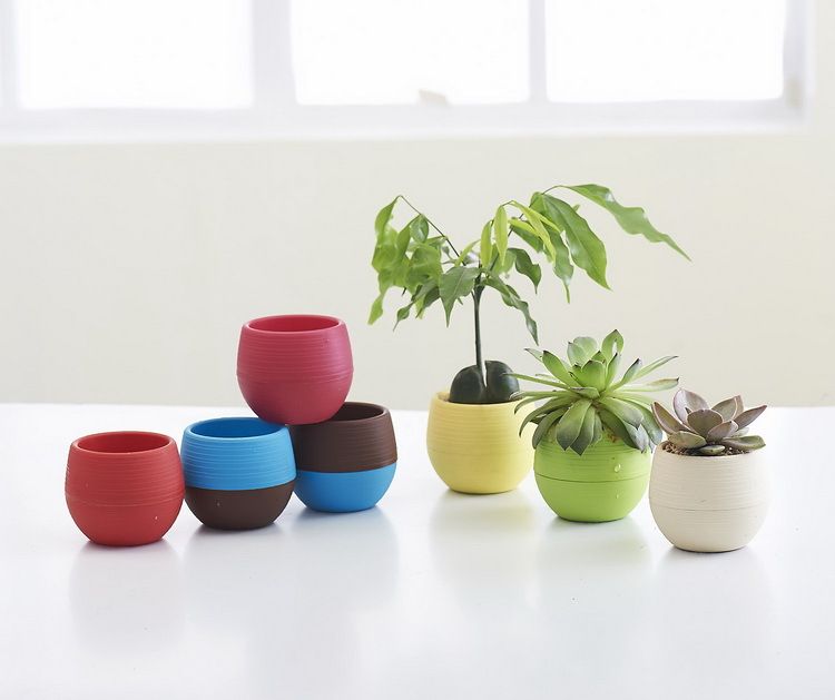 2019 Desktop Green Plants Flower Pots Planters Home Decoration