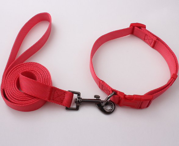 red dog collar and leash