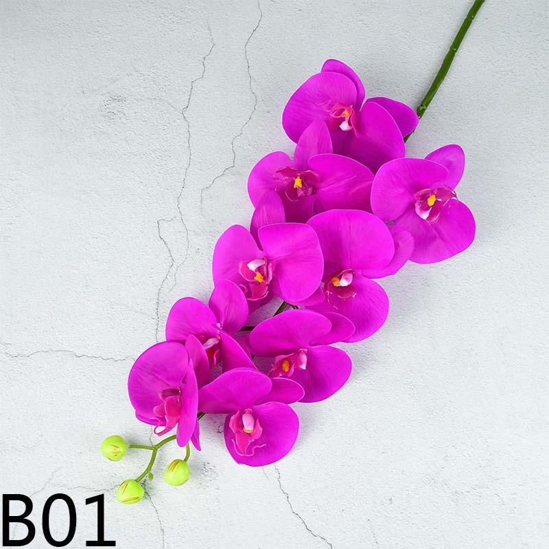 B01