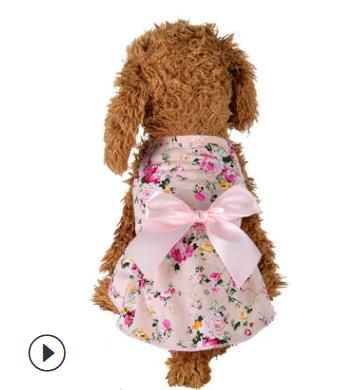 # 2 robes de chien tutu