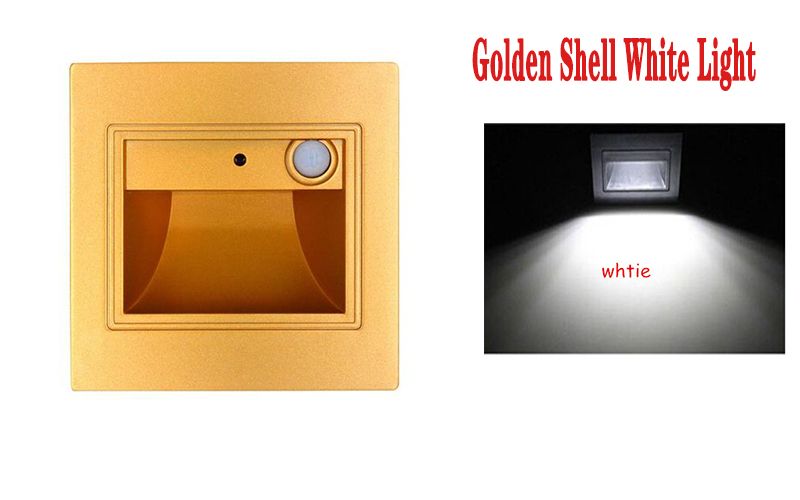 Golden Shell White Light