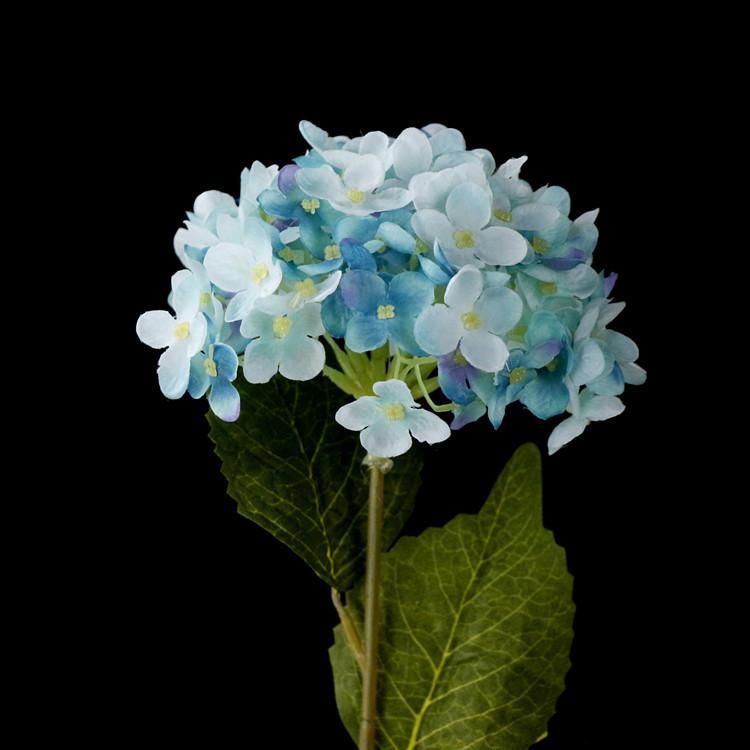 ljusblå blommor