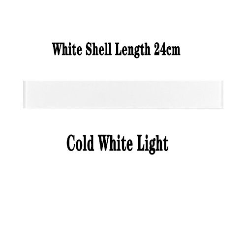 White Shell Length 24cm