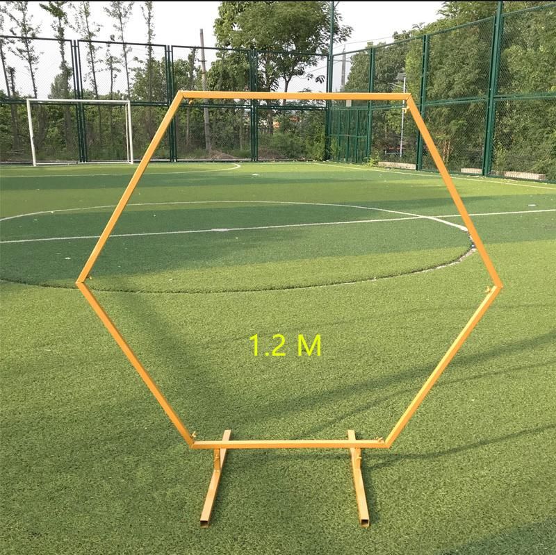 オプション：1.2 mゴールド。