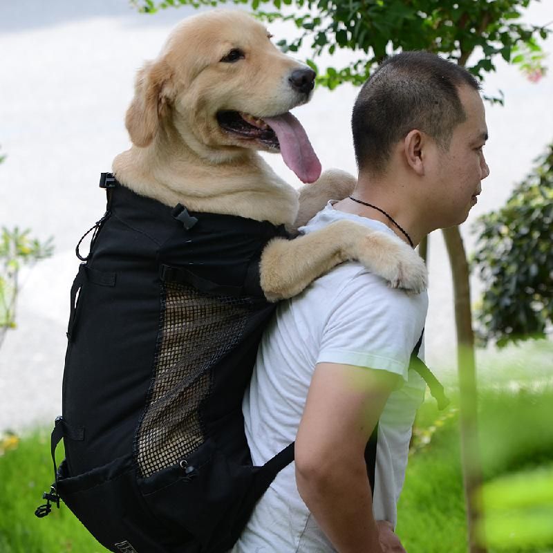 backpack for carrying large dogs