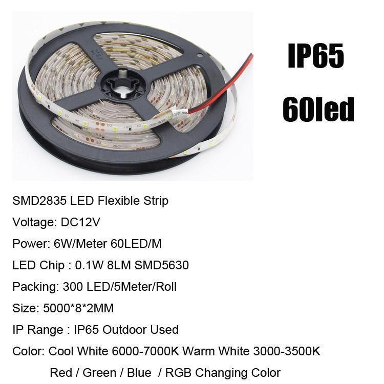 SMD2835 60LED / M IP65