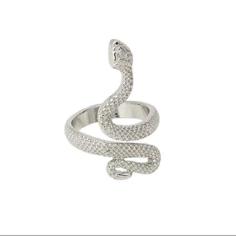 Serpent d'argent