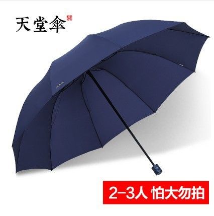 Zq04-guarda-chuva