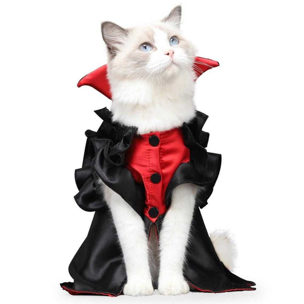 Costume de chat noir-l