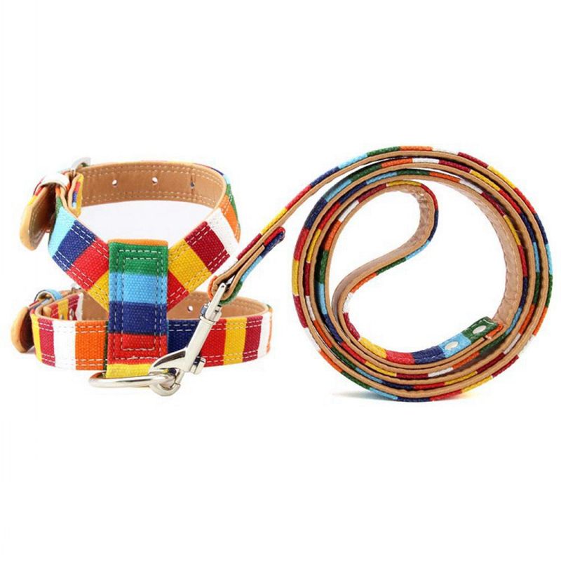 Harnesses+Leashes