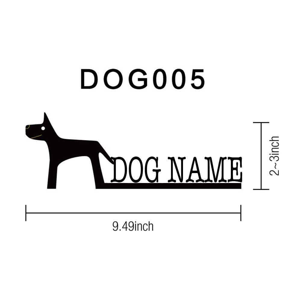 Dog005
