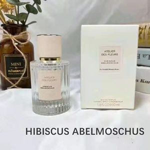 الكركديه abelmoschus.