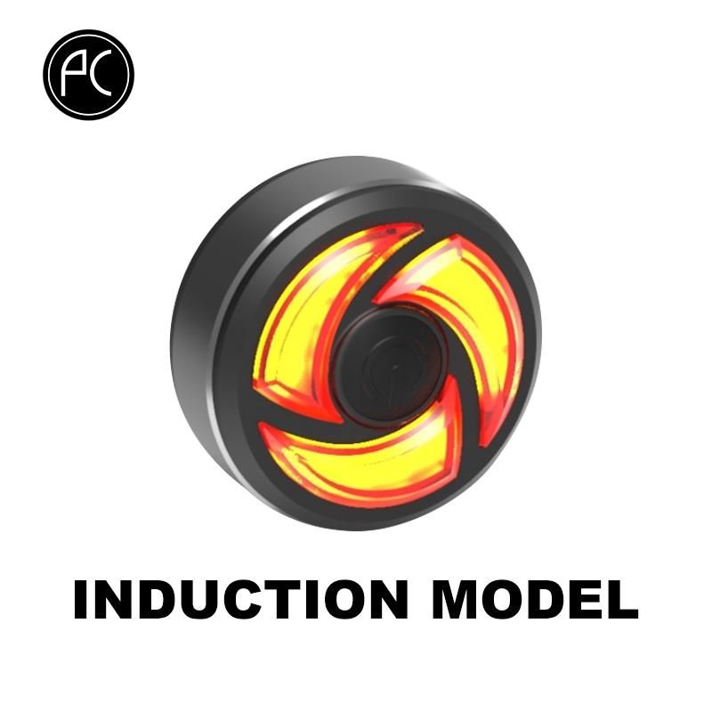 INDUCTION MODEL