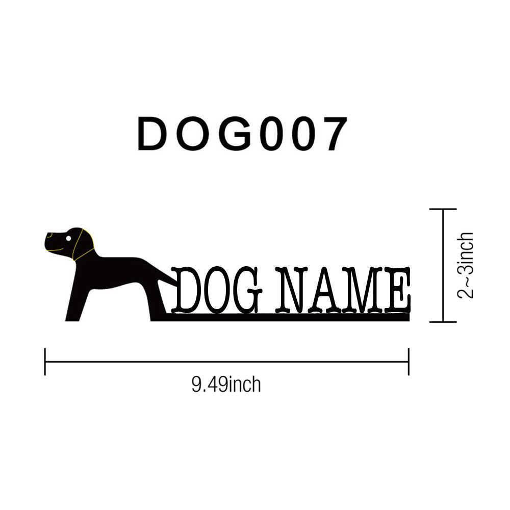 Dog007