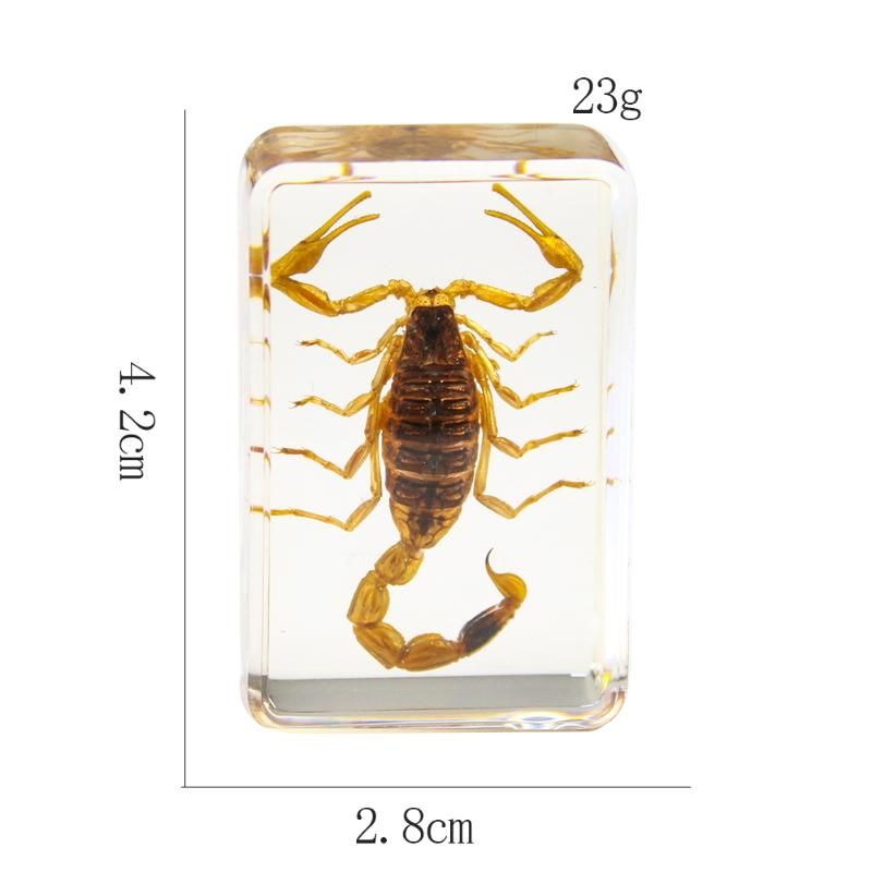 liten skorpion