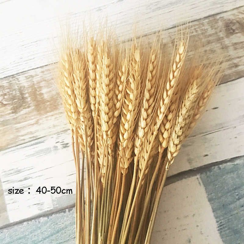 Wheat-15pcs