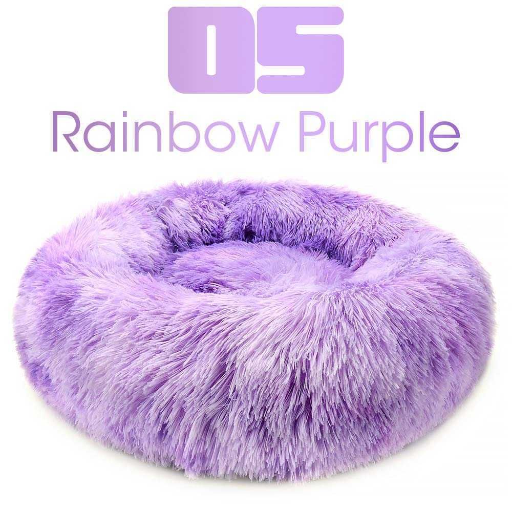 Rainbow Purple