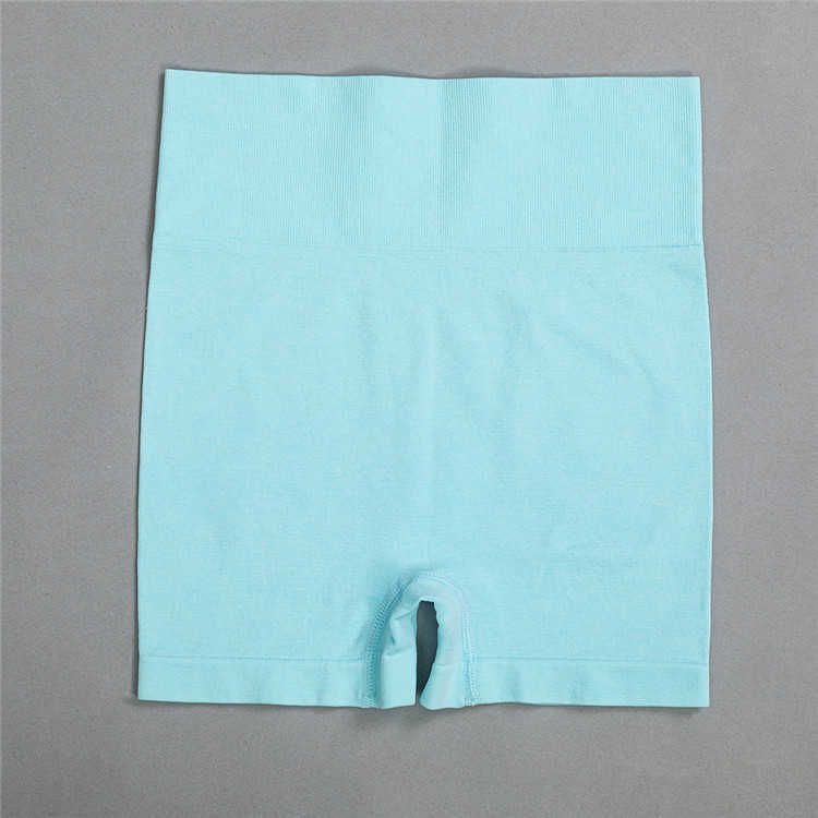 Nur Shorts lblue