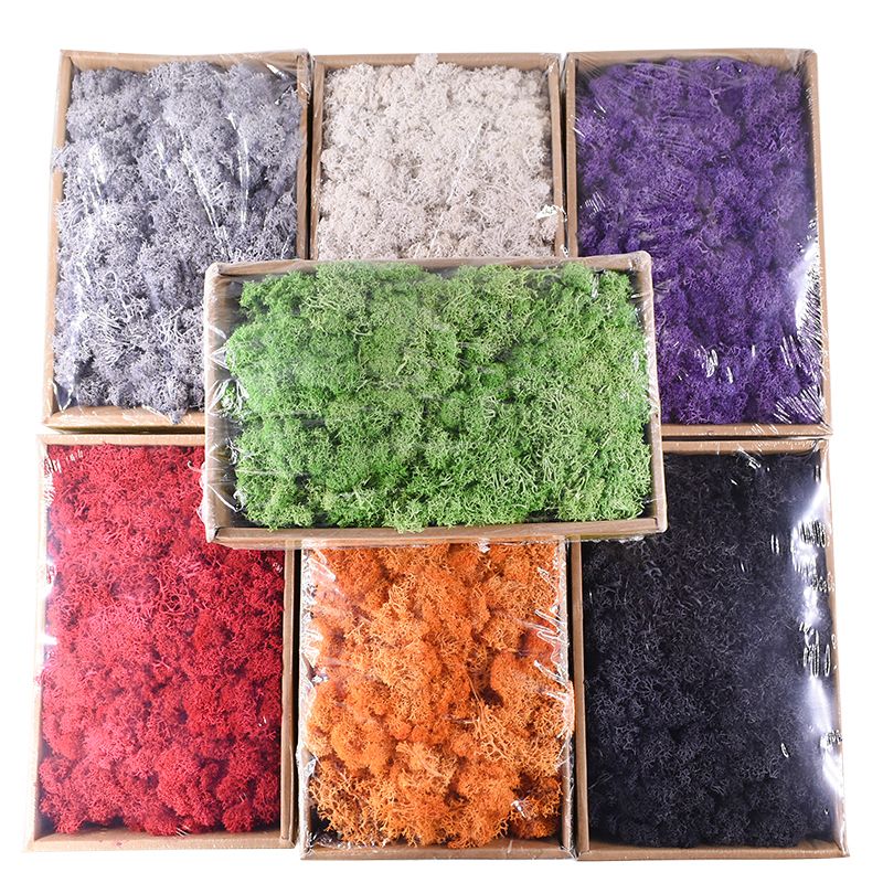 christmas potted garden decoration immortal natural dry moss