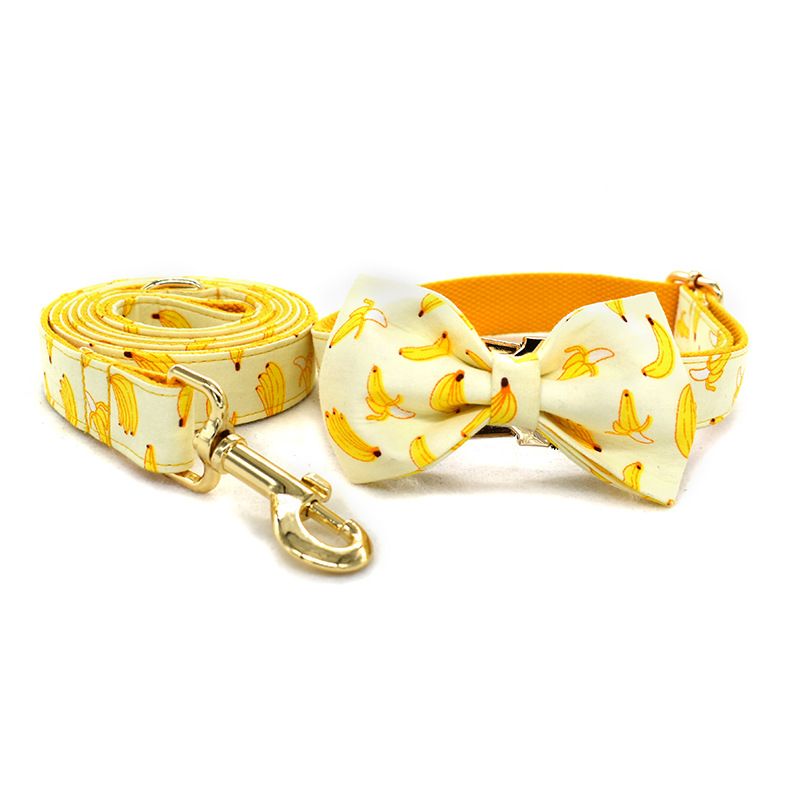 Bow collar leash