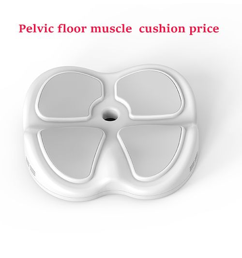 Pelvic Floor Muscle Cushion (geen machine)