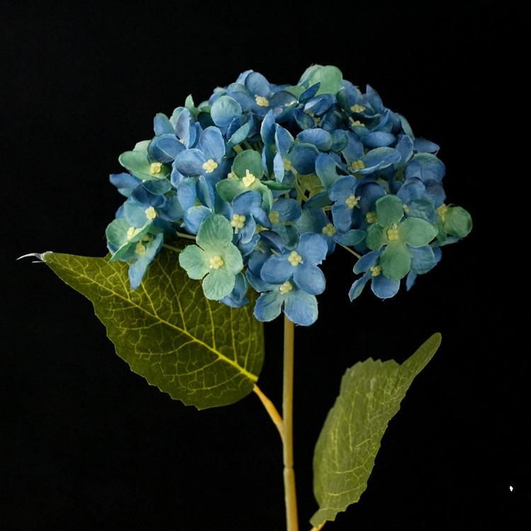 blue flowers