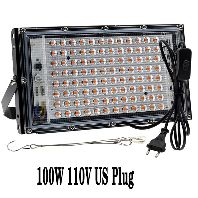 100W 220V EU Plug