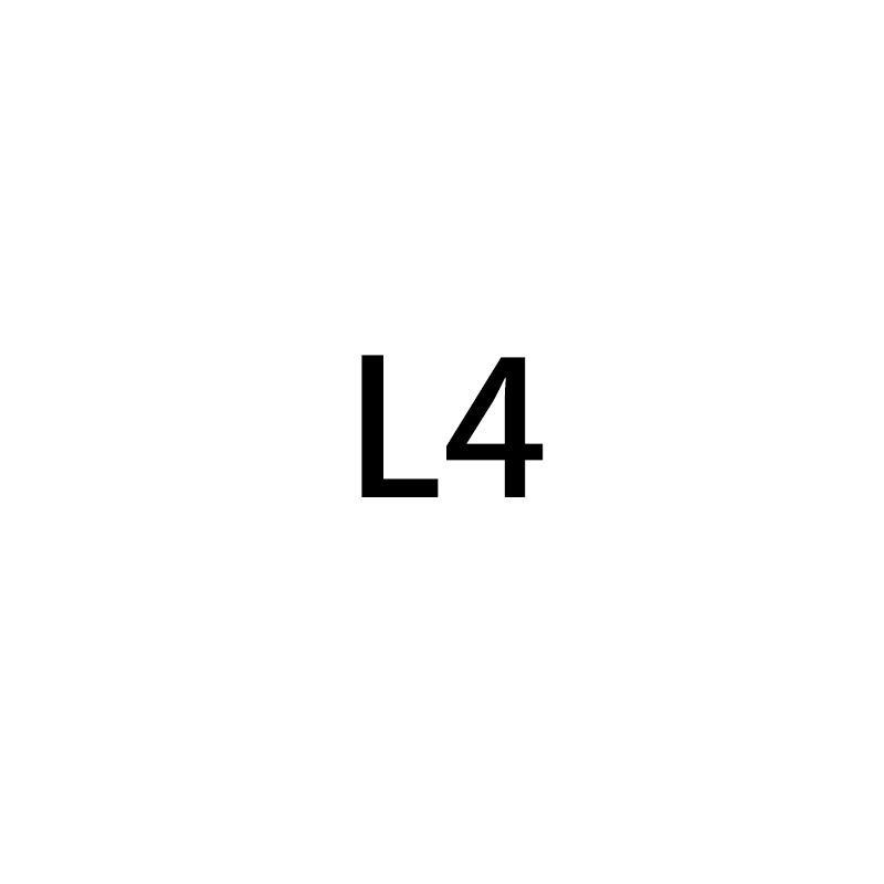 L4