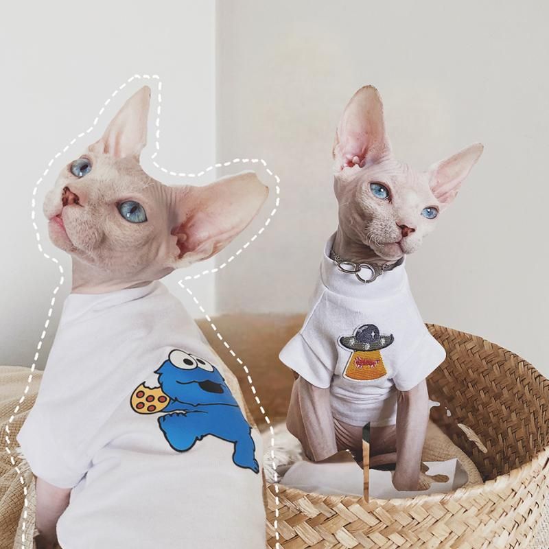 Acheter Pas Cher Costumes De Chat Sphinx Vetements Spring And Summer T Shirt Pour Chaton Sphynx Dessin Anime Tee Costume Vetements Sphynxcat Respirant Du 15 56 Fr Dhgate
