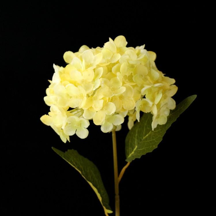 Fiore giallo