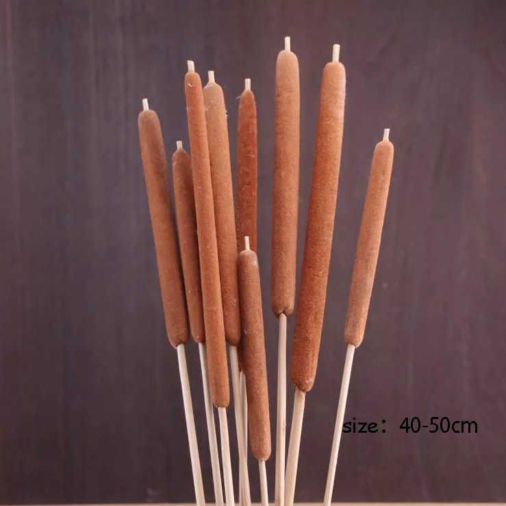 TYPHA-15 adet