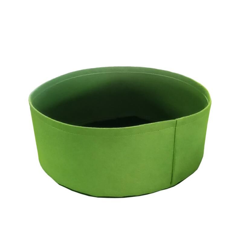 20 Gallon Green: Dimensioni: 20 * 60 cm