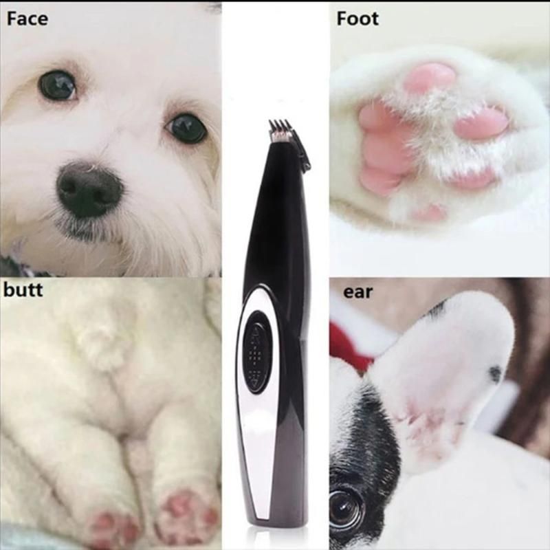 dog feet trimmer