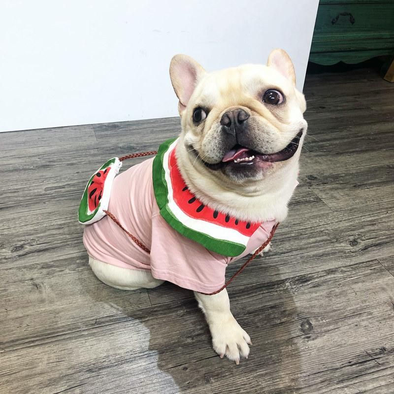 discount dog clothes