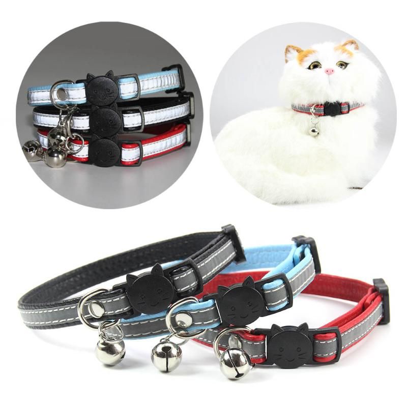 bulk cat collars