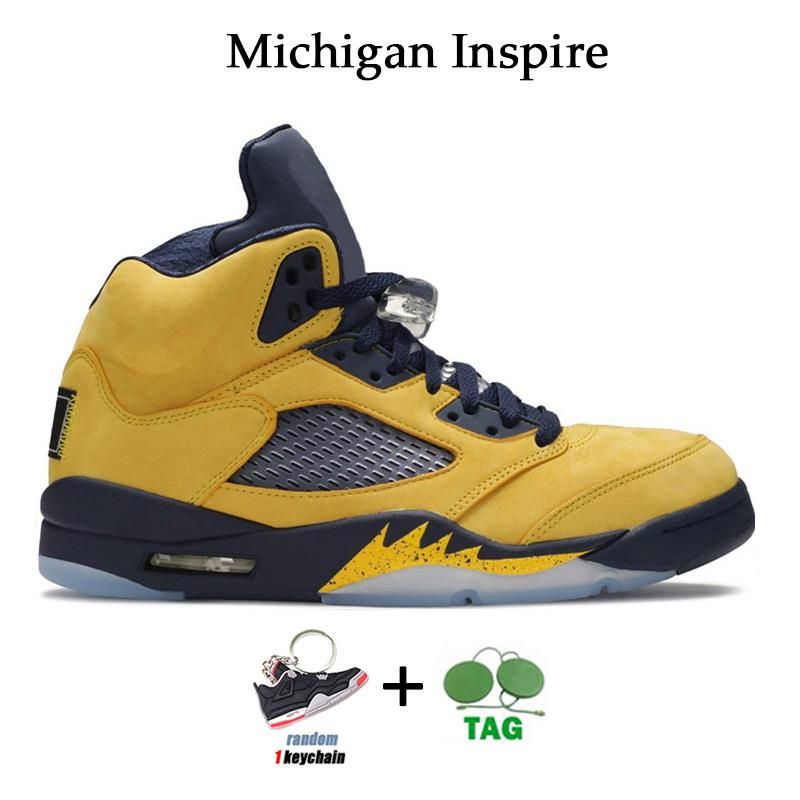 Michigan Inspire