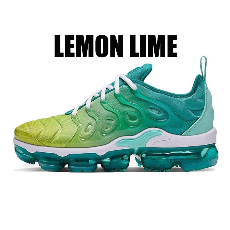 36-47 LEMON LIME