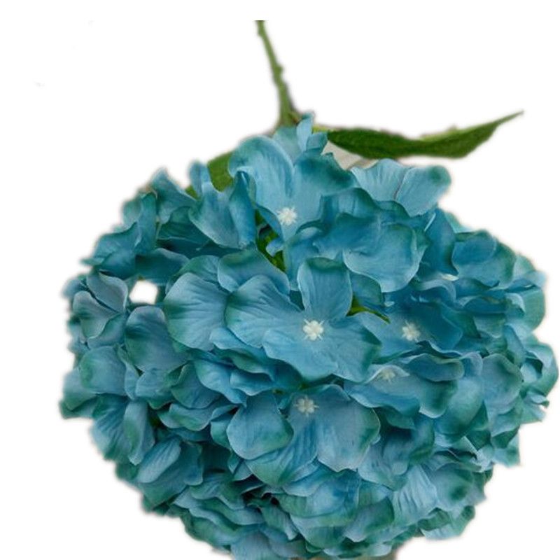 Hortensia de color azul