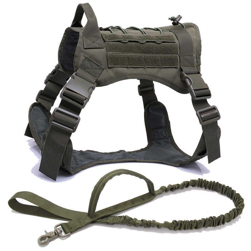 Gr-harness And Leash