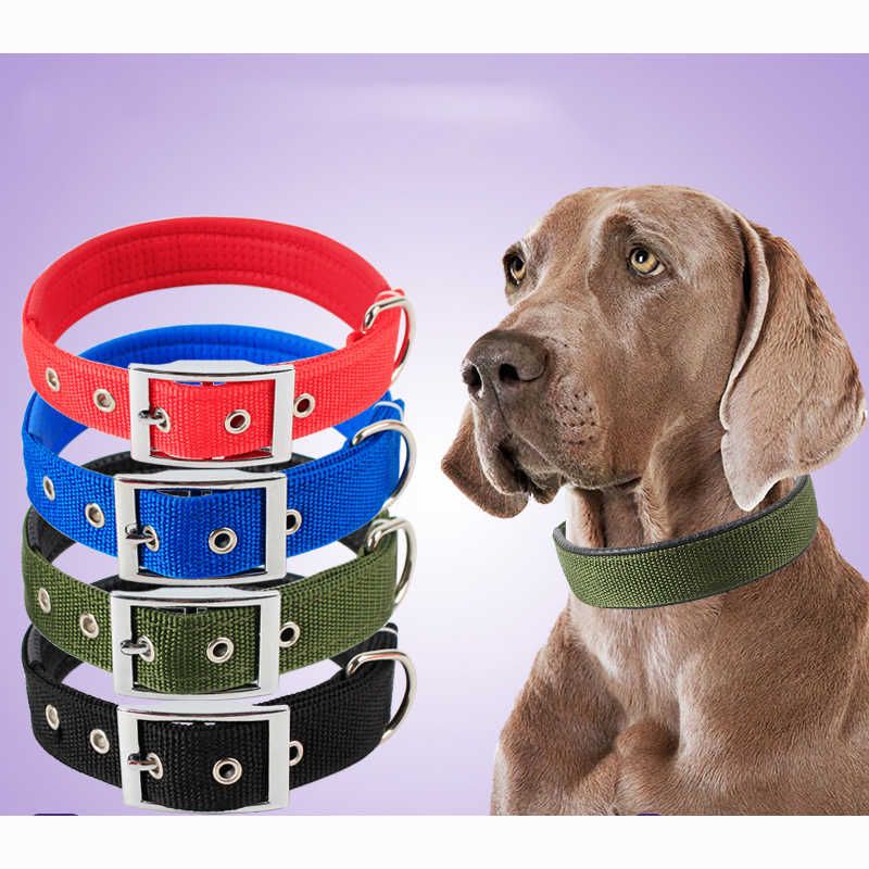 Collares sólidos de nylon para pequeños perros grandes grandes peluche keji pitbull bulldog beagle perro