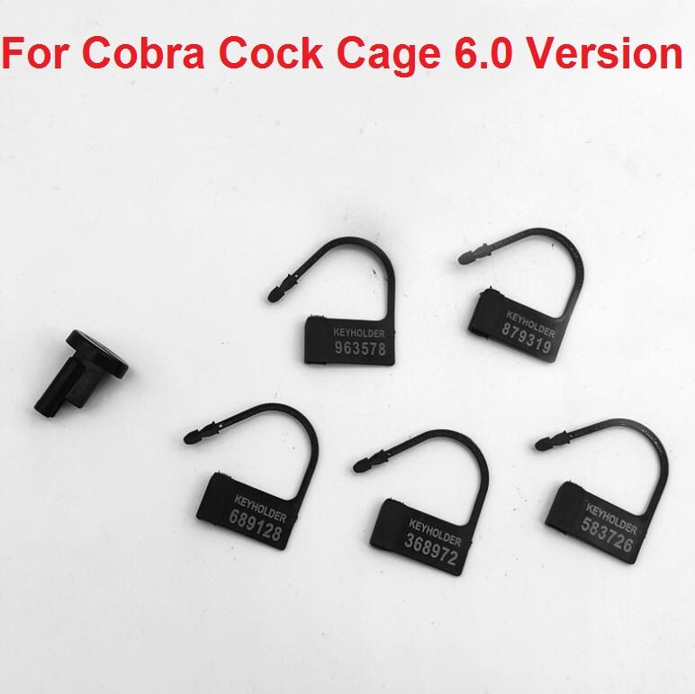 Pour la version COBRA CAGE 6.0