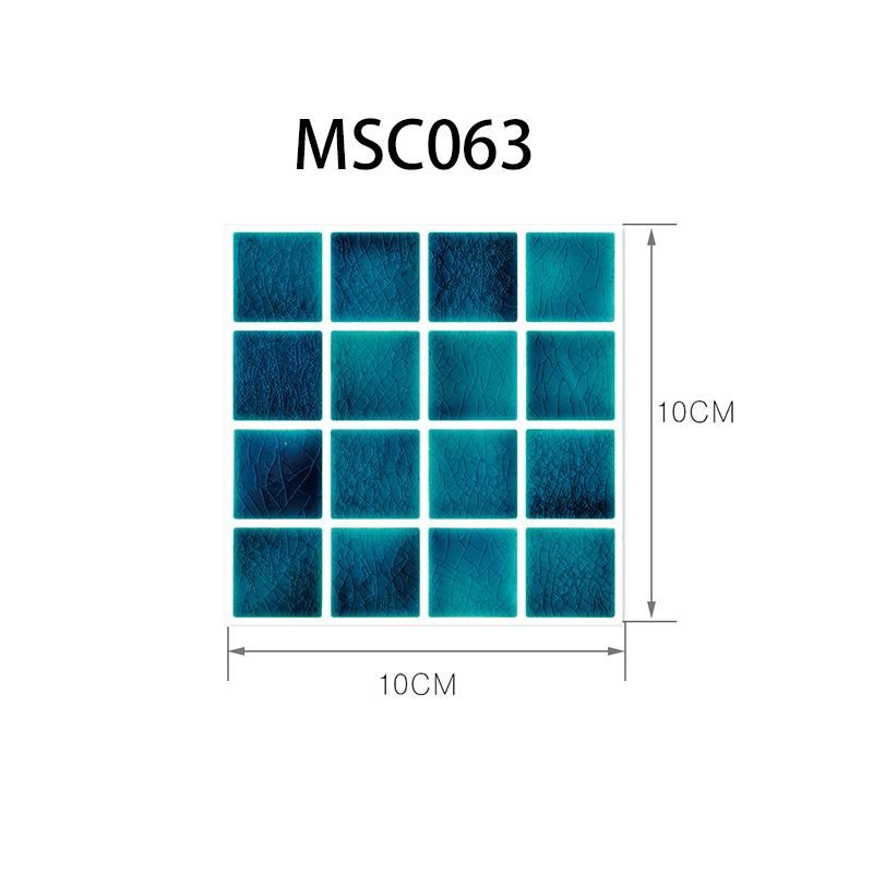 MSC063