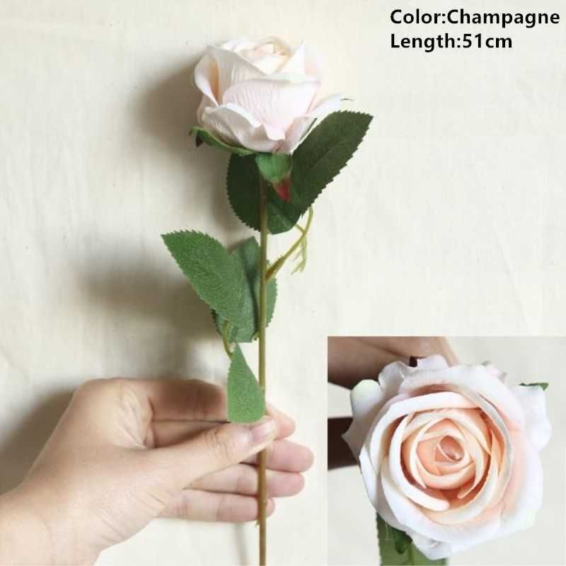 B Champagne Rose.