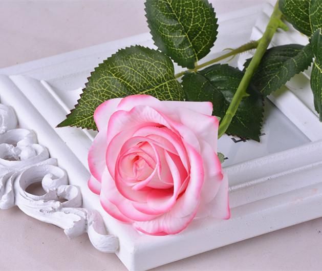 bord rose blanc