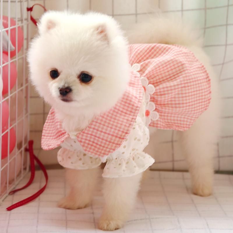 matiz insulto aumento Ropa de perro Puppy Teddy Schnauzer Pomeranian Chihuahua Bichon Lindo PET HUEGO HUELO PANTALLA PANTALLAJE Ropa matiz insulto aumento Ropa de perro Puppy Teddy Schnauzer Pomeranian Chihuahua Bichon Lindo PET HUEGO HUELO PANTALLA PANTALLAJE Ropa